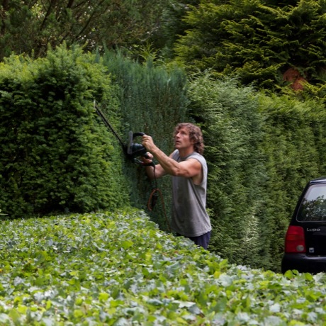 Hagen snoeien in wijk Berg en Bos, Apeldoorn